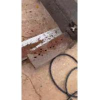 ราคา Wowowow ชุดนอนนา1000w พร้อมใช้งาน อินเวอร์เตอร์1000วัตต์ โซลาร์เซลล์ พลังงานแสงอาทิตย์ รับประกัน ราคาถูก พลังงาน จาก แสงอาทิตย์ พลังงาน ดวง อาทิตย์ พลังงาน อาทิตย์ พลังงาน โซลา ร์ เซลล์ (15367767105)