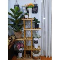 ราคา ชั้นคอนโด วางกระถาง ตันไม้ วางต้นแคนตัส (12444863962)