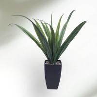 ราคา กระถางต้นไม้ประดิษฐ์ ต้นไม้มงคลตกแต่งบ้าน ต้นไม้ปลอมพร้อมกระถาง (17484543998)