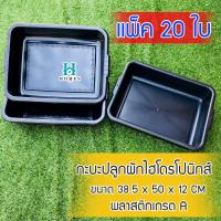 ราคา กระบะปลูกผักไฮโดรโปนิกส์ 20 ใบ กระบะพลาสติกสีดำ กระบะเพาะเมล็ด กระบะทรายแมว กะบะดำ กระบะใส่ของ ใส่น้ำได้ homes (8838089306)