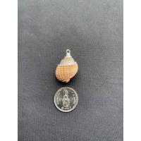 ราคา จี้หอยสังข์ธรรมชาติ Natural conch pendant Gold and silver plated (20050293894)