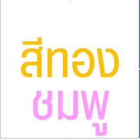 ราคา ส่งฟรี ที่ตักเค้ก สแตนเลสแท้ MAXIE มีให้เลือก7สี ที่ตักเค้กสแตนเลส ที่ตักพิซซ่า ที่ตักเค้กชิ้น ที่ตักเค้กปอน ที่ตักขนม ไม้ตักพิซซ่า ที่ตักเค้กพลาสติก ที่ตักชิ้นเค้ก ที่ตักขนมเค้ก ที่ยกเค้ก (1499967187