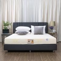 ราคา Darling deluxe ที่นอนดาร์ลิ่ง ที่นอนยางพารา รุ่นเทียราพีดิก Therapedic หนา 8นิ้ว (18040861772)