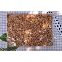 ราคา อาหารนกเขาเล็ก มิลเลต3สี แพ็คละ 1 Kg อาหารเขาเล็ก อาหารนกหงส์หยก อาหารนกเขาชวา ธัญพืชสำหรับนก (16484903758)