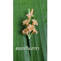 ราคา ดอกไม้เสียบผม ช่อดอกกันเกรา ดอกไม้ดินประดิษฐ์ (20854030384)