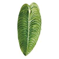 ราคา Socket Folding Grip Tok Pretty Leaf Acrylic Phone Holder For iPhone13 Universal Smartphone Griptok Bracket Finger Stand (14481403377)