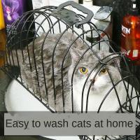 ราคา H A ขายดี กรงอาบน้ำแมว อเนกประสงค์ Cat Bath กรงอาบน้ำแมว ช่วยให้การอาบน้ำ เป่าขนแมว ตัดเล็บให้ง่ายยิ่งขึ้น รุ่น 2 ประตู Size L ขนาด 46 12 24 ซม พลาสติกรองกรง (7597912540)