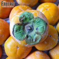 ราคา ลูกพลับเกาหลี Korean Persimmon CHN ยกลัง36 44ลูก ลดพิเศษ Premium หวาน อร่อย ลูกพลับสด ผลไม้สดๆ ผลไม้สดนำเข้า ผลไม้ต่างประเทศ ขายส่ง ราคาส่ง (12206478584)