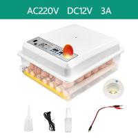 ราคา ตู้ฟักไข่อัตโนมัติ ตู้ฟักไข่ออโต้ ครื่องฟักไข่ ตู้ฟักไข่ ไข่อัตโนมัติ ฟักไข่ไก่ ไข่เป็ด ไข่นก 36 ฟอง ระบบอัตโนมัติ (14276137711)