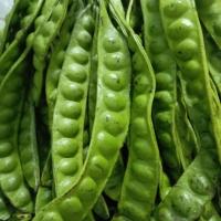 ราคา สะตอสด สดๆจากสวน สดสะอาด คุณภาพ สะตอ สด สรรพคุณ สะตอฝักละกี่บาท (19445065248)