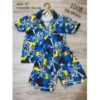 ราคา ชุดเซตเด็กผู้ชาย 3 4 ขวบ เสื้อ กางเกง มือสอง สภาพดี ราคาถูก (17411824012)