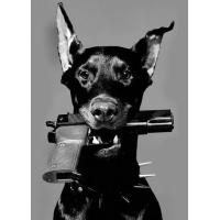 ราคา โมเดิร์นสีดำโดเบอร์แมนสุนัขกัดปืนแรงบันดาลใจหรูหราแฟชั่นพิมพ์โปสเตอร์ผ้าใบจิตรกรรมนอร์ดิกผนังศิลปะรูปภาพสำหรับห้องพักตกแต่งบ้าน (20420692594)