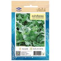 ราคา เมล็ดผักใบ กระเพรา โหระพา แมงลัก ผักเสี้ยน ผักชีลาว ผักชี ผักโขมใบกระ ผักโขมแดง ผักกาดหอมเมล็ดขาว ผักกาดหอม เจียไต๋ (19851385556)