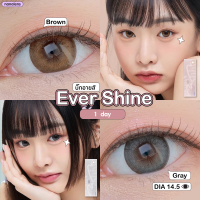ราคา Nanalens Olens รุ่น Ever Shine 1 Day คอนแทคเลนส์รายวัน 5 คู่ Dia 14 5 (20275382612)