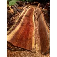 ราคา ท็อปไม้ แผ่นไม้สะเดา ไม้แผ่นสะเดา โต๊ะไม้แผ่นเดียว โต๊ะกินข้าว โต๊ะอาหาร โต๊ะกลาง โต๊ะไม้ โต๊ะอาหาร ม้านั่งยาว ท็อปโต๊ะ เคาร์เตอร์ (16949852228)