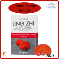 ราคา เห็ดหลินจือสกัด ชนิดแคปซูล กิฟฟารีน อาหารเสริมสุขภาพเห็ดหลินจือแดง (7950408437)