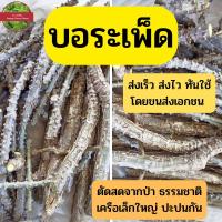 ราคา บอระเพ็ด ตัดสดเป็นท่อนขนาด15 20 cm ใช้สำหรับปลูก สำหรับให้ทารกอย่านมแม่ และใช้ทำยาสมุนไพรได้ เก็บจากป่าธรรมชาติไม่มีสารเคมีใดๆ เจตมูลหนาม ตัวเจตมูลยาน เถาหัวดำ หางหนู จุ่งจิง เครือเขาฮอ Tinospora cris