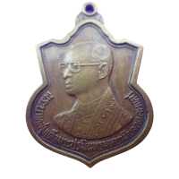 ราคา จัดส่งฟรี เก็บเงินปลายทาง สุ่มของแถม เหรียญ พระบาทสมเด็จพระปรมินทรมหาภูมิพลอดุลยเดช สร้าง ปี 2542 เนื้อทองฝาบาตร (10798952937)