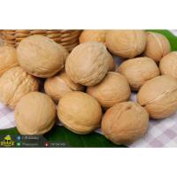 ราคา ขายส่ง Walnut ลูกวอลนัทสำหรับสัตว์เลี้ยง วอลนัทสำหรับหนูแฮมเตอร์ นก ชูการ์ กระรอกและสัตว์ฟันแทะทุกชนิด ขนาดคละไซส์ (16484879677)