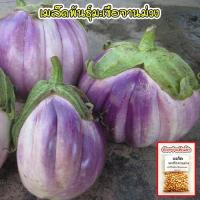 ราคา มะเขือจานม่วง เมล็ดพันธุ์ 40 100 เมล็ด มะเขือเปราะจานสีม่วง ซื้อ 10 แถม 1 คละได้ (17800263326)