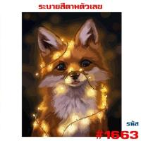 ราคา ขึงเฟรมไม้ พร้อมส่ง DIY Paint Number รูปวาด ภาพวาด ภาพวาดระบายสี ภาพวาดสีน้ำมัน ภาพระบายสีตามตัวเลข ระบายสีตามเลข บริการเก็บเงินปลายทาง สำหรับคุณ (16197131215)