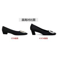 ราคา The RV silk satin side buckle single diamond heels coach Mary Jane shoes female in the summer of 2023 light mouth ballet shoes (20207803743)
