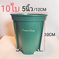 ราคา กระถางทรงสูง สายเขียว กระถางต้นไม้ทรงสูงสีเขียว กระถางต้นไม้พลาสติก กระถางแคคตัส กระถางญี่ปุ่น QS (11080779914)