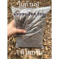 ราคา ใบก้ามปู ใบก้ามปูหมัก ใบก้ามปูพร้อมใช้ ใบก้ามปูร่อน ปุ๋ยใบก้ามปู แคตตัส สัปปะรดสี บอนสี ไม้ดอกไม้ประดับ แบบร่อนละเอียด 1 กิโลกรัม (10350517090)