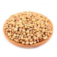 ราคา เม็ดผักชี ลูกผักชี ผักชีเมล็ดผักชี ลูกผักชี Coriander seeds (20100619261)