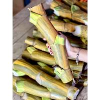 ราคา พลูด่าง พลูยักษ์ พลูด่างยักษ์ ใบฉีก กิ่งใหญ่ รากแน่น พร้อมปลูก (21216462822)