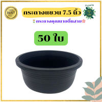 ราคา กระถางแขวน กระถางต้นไม้สำหรับแขวน ขนาด 7 5 นิ้ว ความกว้างปากกระถาง เบอร์8 กระถางชามเตี้ย สีดำ ทรงเตี้ย กระถางคุณนายตื่นสาย (20396159968)