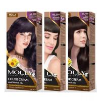 ราคา Molly Color Cream มอลลี่ คัลเลอร์ ครีม 100 มล สีย้อมผม ยาย้อมผม ปิดผมหงอ สีเคลียร์ สีย้อมผมมอลลี่ (15788389345)