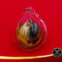 ราคา จี้ พญาเล็บครุฑ จับเงินจับทอง พืชมหามงคล หายาก ตัวผู้และตัวเมียแช่น้ำมันจันทร์หอม เสริมบารมี โชคลาภ เลี่ยมกรอบพลาสติกกันน้ำ 10 ชิ้น (17187768343)