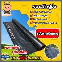 ราคา พลาสติกปูบ่อPE 150 ไมครอน แบ่งขายเป็นเมตร มี 4 สี หน้ากว้าง 3 6 4เมตร พลาสติกคลุมดิน ผ้าปูบ่อ พลาสติกคลุมโรงเรือน ผ้าปูPE ม้วนเต็มยาว 40 เมตร (13113176438)