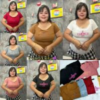 ราคา ส่งเร็วพิเศษ เสื้อยืดสาวอวบอ้วน อก38 46 ยาว24 ผ้าเนื้อนิ่ม ปักCC OO ทรงคอยิ้ม ปัง มากทรงนี้ (10445913217)