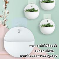 ราคา กระถางต้นไม้แขวนผนัง กระบองเพชร ไม้อวบน้ำ ไม้น้ำ พลาสติกแขวนผนัง กระถางดอกไม้ แจกัน (9655408315)