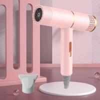 ราคา Hair Dryer ไดร์เป่าผมรุ่นใหม่ทรง T ไดร์เป่าผมไอออนลบ ไดร์เป่าผมร้อนและเย็น ไดร์เป่าผมแห้งไว (9324506996)