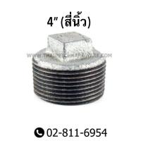 ราคา ปลั๊กอุดเหล็ก ขนาด 2 สองนิ้ว ถึง 4 สี่นิ้ว (2720404680)