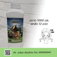 ราคา รีฟิล สาหร่ายทะเล พร้อมอาหารเสริมสำหรับพืช สูตรดึงยอด ทำใบ ช่วยให้ยอดมาดี ใบเขียวเข้ม ขนาด1000 มล (12005844976)