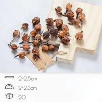 ราคา ผลไม้อบแห้งดอกไม้แห้งต้นคริสต์มาส DIY วัสดุตกแต่งลูกสนวัสดุเทียนหอมใบไม้สีแดง (20812898160)