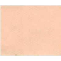 ราคา กระดาษการ์ดสี A4 สั้น120 แกรม 180 แผ่น มี6สี เขียว ชมพู ฟ้า เหลือง ม่วง ส้ม (18343449816)