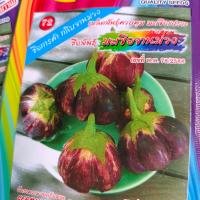 ราคา เมล็ดพันธุ์ มะเขือจานม่วง 0 5 กรัม ตรา ม้ารุ้ง มะเขือเปราะ เมล็ดผัก เมล็ดผักสวนครัว ผักสวนครัว เมล็ดมะเขือ (20110268290)
