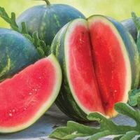 ราคา แตงโมกินรี ถูกที่สุด 10 บ เมล็ดพันธุ์แตงโมกินรี 20 เมล็ด นำเข้าจากต่างประเทศ ปลูกง่าย หวานมาก (13039700648)