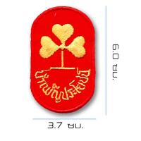 ราคา อาร์มเครื่องหมายลูกเสือเนตรนารี (20569356041)