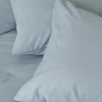 ราคา Darling Mattress NANOTECH ปลอกหมอนหนุน ปลอกหมอนข้าง ปลอกหมอนบอดี้ (10900687111)