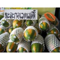 ราคา เมล็ดพันธุ์มะละกอพันธุ์ต่างๆมีดังนี้ (10002090429)