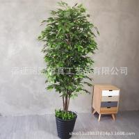 ราคา GGMM ต้นไทรจำลองต้นไทรสีทองห้องนั่งเล่นโรงแรมห้างสรรพสินค้าตกแต่งกระถางต้นไม้สีเขียวต้นไทรสีขาวต้นแปะก๊วยต้นไม้โชคลาภ (20981159669)