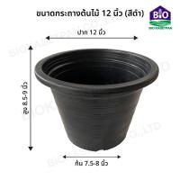 ราคา กระถางต้นไม้พลาสติก กระถางพลาสติก กระถางปลูกต้นไม้ สีดำ ขนาด 2 5 3 4 5 6 8 10 12 15 17 นิ้ว (20000584400)