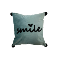 ราคา N2N fashion COZY หมอนอิง ขนาด 43 43 8ซม รุ่น CY31 สีฟ้า ปังสุดๆ (20760362149)