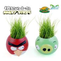 ราคา kk ตุ๊กตาหัวหญ้า เซรามิก ขวดแก้ว ราคาชิ้นละ Garden mini ต้นไม้จิ๋ว ชุดปลูกต้นไม้จิ๋ว มินิพืช DIY ชุดปลูกผัก ของขวัญ ของฝาก ของชำร่วย (10387731575)